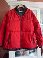 Gaastra jas 3xl, Kleding | Heren, Jassen | Winter, Ophalen, Gaastra, Nieuw, Overige maten