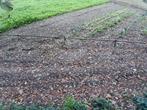Sproeibuizen voor tuin of landbouw, Ophalen, Gebruikt, 200 cm of meer, Minder dan 100 cm