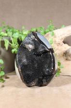 Septarie, draken ei, Ophalen of Verzenden, Mineraal