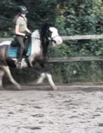 Bijrijd pont gezocht omgeving Doetinchem, Ophalen of Verzenden