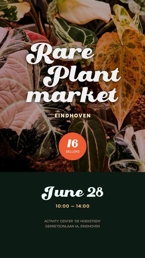 Zeldzame Planten Markt 28/6 in Eindhoven, Huis en Inrichting, Kamerplanten, Overige soorten, Minder dan 100 cm, Ophalen