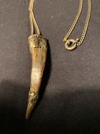 Adelaars/wolvenklauw/geitenhoorn/tand in zilver, Ophalen of Verzenden, Zilver