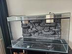 Terrarium inclusief achterwand, Dieren en Toebehoren, Reptielen en Amfibieën | Toebehoren, Ophalen, Zo goed als nieuw, Terrarium of Paludarium