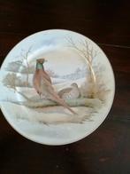 Vogels op sneeuw, gladde rand, gouden rand , 27cm, Antiek en Kunst, Antiek | Wandborden en Tegels, Ophalen of Verzenden