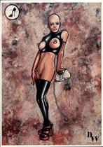 erotische kaart, Dannes Wegman, kinky kokkerellen, Verzenden, 1980 tot heden, Ongelopen, Overige thema's