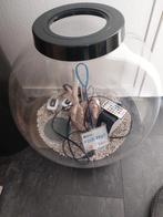 Biorb 60 liter, Ophalen, Zo goed als nieuw, Gevuld zoetwateraquarium