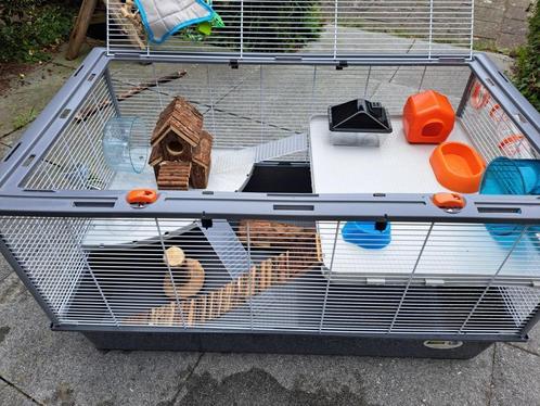 Ruime cavia, hamster, muizenkooi met heel veel extra's, Dieren en Toebehoren, Knaagdieren en Konijnen | Hokken en Kooien, Zo goed als nieuw