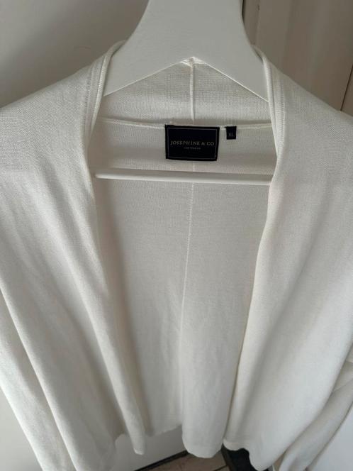 Josephine en Co vest maat XL, Kleding | Dames, Truien en Vesten, Zo goed als nieuw, Maat 46/48 (XL) of groter, Verzenden