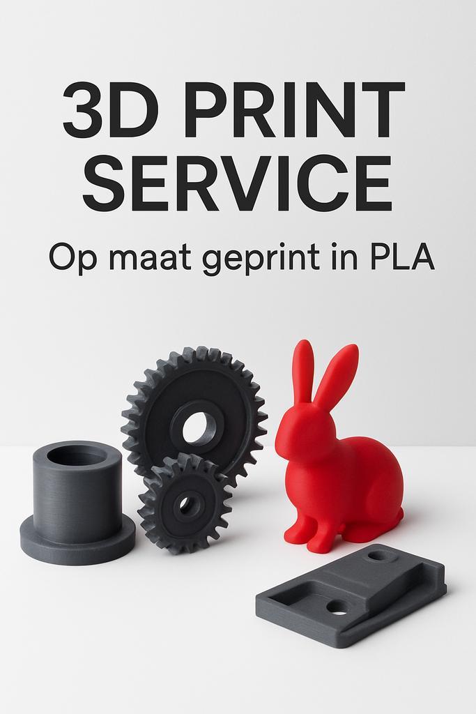 3Dprint service, Computers en Software, 3D Printers, Nieuw, Ophalen