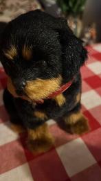 Rottweiler knuffel, Verzamelen, Ophalen of Verzenden, Zo goed als nieuw, Wild dier, Beeldje of Figuurtje
