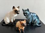 Porselein Katten / poezen beelden Siamees 1 koop, Ophalen of Verzenden, Gebruikt, Dier