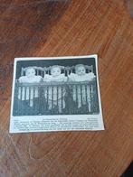 Knipsel drieling Reeuwijk 1909, Verzamelen, Ophalen of Verzenden, Voor 1920, Knipsel(s)