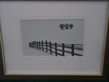 Mooie Ingel.. Beroepsfoto titel "" Out of IT ""Alex Pieterse beschikbaar voor biedingen