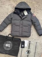 Canada Goose MacMillan XS, Kleding | Heren, Jassen | Winter, Canada Goose, Nieuw, Ophalen of Verzenden, Grijs