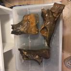 Wolharige neushoorn opperarmbeen botten fossiel, Ophalen of Verzenden, Fossiel