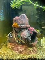 Kleine molly’s en guppies, Dieren en Toebehoren, Vissen | Aquariumvissen, Vis