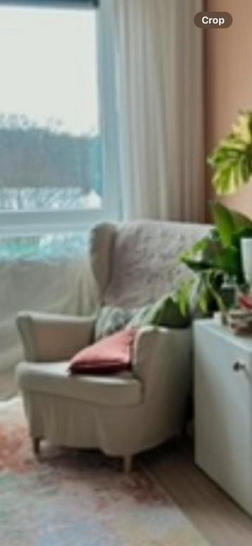 Strandmon grijze Fauteuil met beige hoes beschikbaar voor biedingen