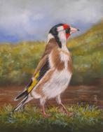 OPRUIIMING schilderij puttertje 210 -eigen werk - vogeltjes, Minder dan 50 cm, Oorspronkelijke maker, Nieuw, Ophalen of Verzenden