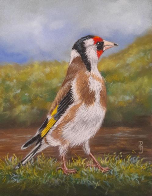 OPRUIIMING schilderij puttertje 210 -eigen werk - vogeltjes, Huis en Inrichting, Woonaccessoires | Schilderijen, Tekeningen en Foto's
