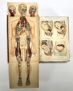 795. Art Nouveau boeken, Bilz – anatomische platen, 1922, Antiek en Kunst, Antiek | Boeken en Bijbels, Ophalen of Verzenden