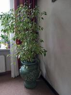 Spaanse pot, Ophalen, Zo goed als nieuw, Overige kleuren, Minder dan 50 cm