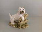 Hond op plateau West Highland White Terriër, Ophalen of Verzenden, Gebruikt, Dier