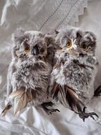 Niet gebruikt super zachte uiltjes, Ophalen of Verzenden, Zo goed als nieuw, Beeldje of Figuurtje
