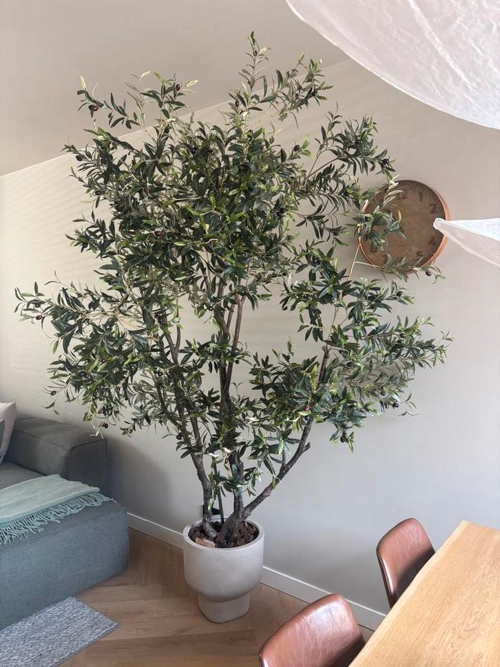 Kunst olijfboom, Huis en Inrichting, Woonaccessoires | Kunstplanten en Kunstbloemen, Nieuw, Binnen, Ophalen