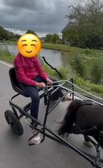 HCA sulky 14 inch, Dieren en Toebehoren, Rijtuigen en Koetsen, Klarenbeek, Pony, Zo goed als nieuw, Hca