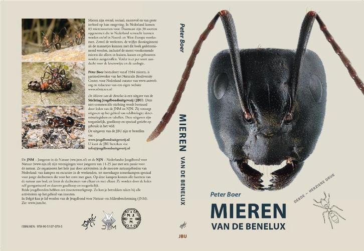 Mieren van de Benelux | Derde – herziende druk NIEUW!, Boeken, Studieboeken en Cursussen, Nieuw, Niet van toepassing, Beta, Ophalen of Verzenden