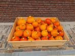 Biologische Hokkaido Pompoenen, Ophalen of Verzenden, Eenjarig, Groenteplanten