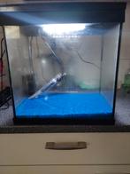 Leuk beginners of kweek aquarium, Ophalen of Verzenden, Zo goed als nieuw, Leeg aquarium