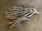 NIEUW gedroogde twig palm tak champagne kleurig droogbloem, Huis en Inrichting, Woonaccessoires | Droogbloemen, Ophalen of Verzenden