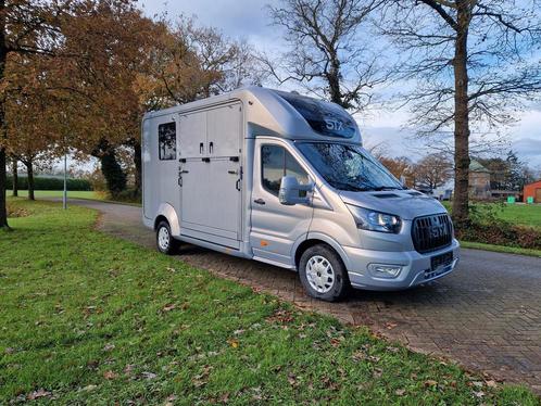 Ford Transit STX automaat paardenwagen hengsten uitvoering, Dieren en Toebehoren, Paarden en Pony's | Trailers en Aanhangwagens