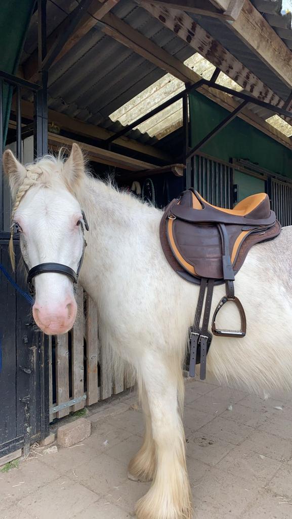 MOET NU WEG barefoot veelzijdigheidszadel boomloos, Dieren en Toebehoren, Paarden en Pony's | Hoofdstellen en Tuigage, Zo goed als nieuw