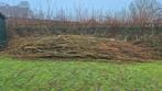 Gratis Wilgentakken / Haardhout, Minder dan 3 m³, Ophalen