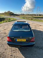 Voll opties  Mercedes-Benz S-Klasse 5.0 S500 AUT 2001, Automaat, Achterwielaandrijving, 8 cilinders, Zwart