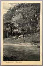 Boschgezicht - Nunspeet, Ophalen of Verzenden, Ongelopen, Gelderland