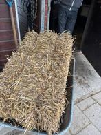 Kleine balen tarwestro te koop, Ophalen, Voogdwerfsesteeg 2, Nieuw, V.o.f Vermue & Kivits