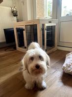 Bench hond - Dog Palace - ook geschikt als bijzettafel, Dieren en Toebehoren, Hondenbenches, Ophalen, Gebruikt