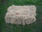 Pakjes hooi, Dieren en Toebehoren, Dierenvoeding, Ophalen, Vee