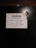 Rines Buijs – “Afghan Girl” – olieverf op paneel – 45  55 cm, Ophalen of Verzenden