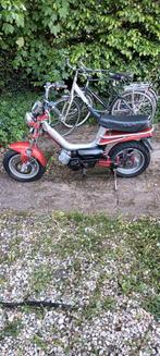 Tomos Youngster, Fietsen en Brommers, Brommers | Tomos, Ophalen, Zo goed als nieuw, Overige modellen