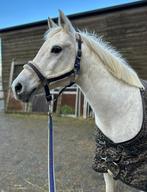 Hele lieve en leuke merrie, Dieren en Toebehoren, Paarden, Merrie, Minder dan 160 cm, Z, Gechipt