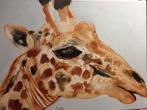 Olieverf schilderij met giraffe kop, Minder dan 50 cm, Nieuw, Ophalen of Verzenden, Schilderij