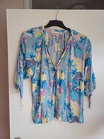 Blouse Fabienne Chapot, maat 40, Maat 38/40 (M), Q, A, Ophalen of Verzenden