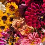 Zaden van prachtige bloemen, Eén persoon, Cadeaubon