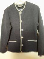 VEST/JASJE GIESSWEIN MT 36, 100% WOL, Kleding | Dames, Blauw, Ophalen of Verzenden, Maat 36 (S), Gedragen