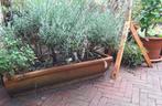 plantenbak van aardewerk, Tuin en Terras, Bloembakken en Plantenbakken, Ophalen, Overige materialen, Gebruikt, Minder dan 30 cm