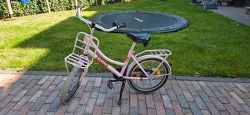 Kinderfiets Alpina 20 inch – Roze – Stevig & Stoer beschikbaar voor biedingen
